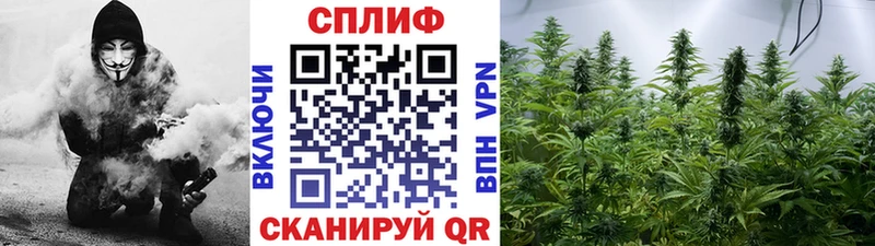 Купить наркотики сайты Сальск Альфа ПВП  Cocaine  Меф мяу мяу  МАРИХУАНА  ГАШИШ 