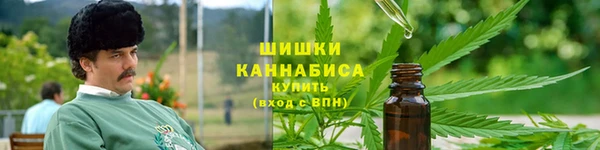 тгк Новозыбков