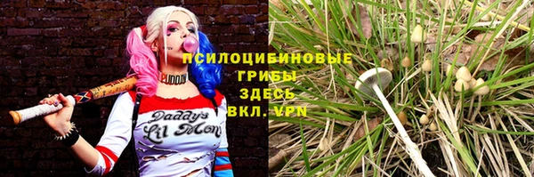 прущая мука Няндома