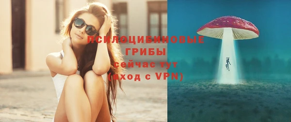 прущие грибы Новодвинск