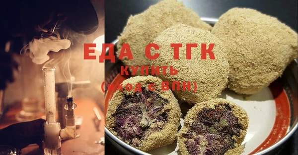 тгк Новозыбков