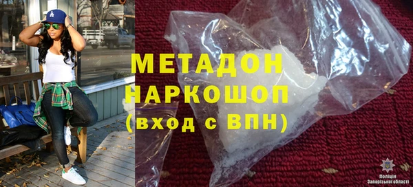 прущие грибы Новодвинск