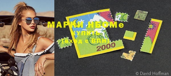 прущие грибы Новодвинск