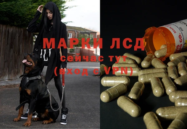 ALPHA-PVP Нягань