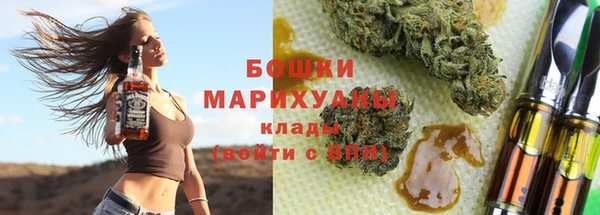 тгк Новозыбков