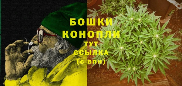 прущие грибы Новодвинск