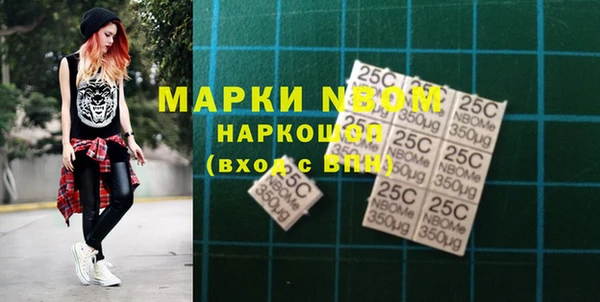 тгк Новозыбков