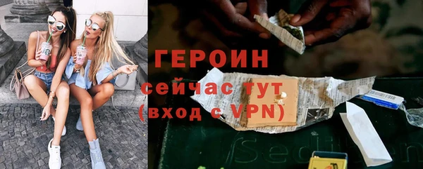 прущие грибы Новодвинск