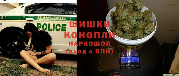 прущие грибы Новодвинск