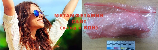 прущие грибы Новодвинск