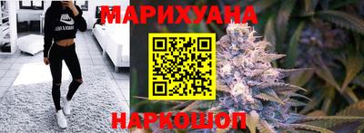 крисы Краснодар