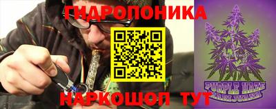 крисы Краснодар