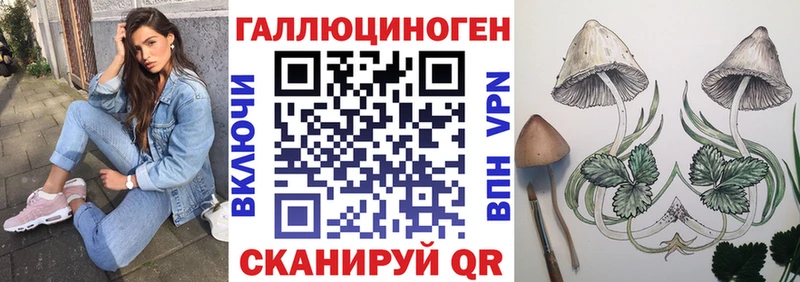 ссылка на мегу сайт  Сальск  Галлюциногенные грибы Psilocybine cubensis 