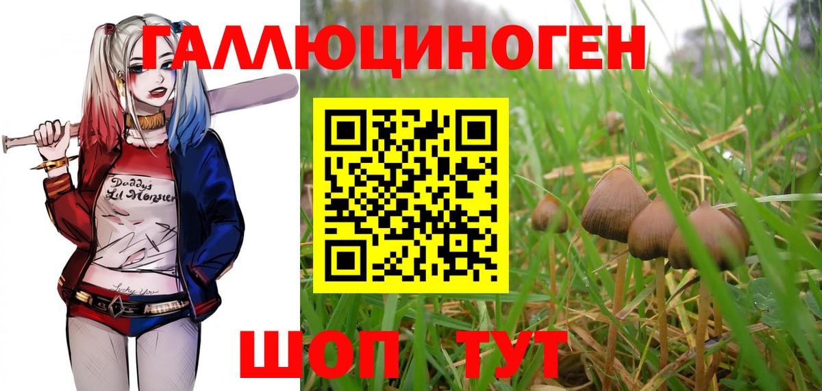 Псилоцибиновые грибы Magic Shrooms  Вход с VPN  Псилоцибиновые грибы мицелий  Сальск 